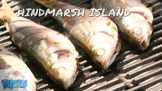 Hindmarsh Island, South Australia | Out of the Blue Ep 210