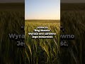 Co oznacza imię Jezus? #Jezus #imię #Bóg #ludzie #ziemia #biblia