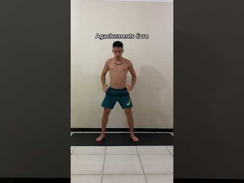 Meus 3 exercícios
