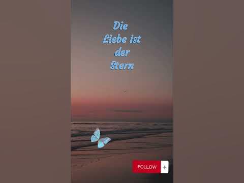 Fakten, Liebe, Sprüche, Zitat, Kummer, Freundschaft YouTube