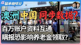 Download Lagu 澳洲与中国正在同步你的银行资料?超过百万账户曝光,银行存款、投资与退休金都可能被看见 | CRS时代全球账户互通,养老金和海外收入还能隐藏吗?| 澳洲与新西兰的移民生活深度分享 | 猫本咖啡豆 MP3 Download Lagu 澳洲与中国正在同步你的银行资料?超过百万账户曝光,银行存款、投资与退休金都可能被看见 | CRS时代全球账户互通,养老金和海外收入还能隐藏吗?| 澳洲与新西兰的移民生活深度分享 | 猫本咖啡豆 MP3
