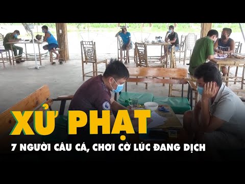 Video 7 người bị phạt 105 triệu đồng do tụ tập câu cá, chơi... - youtube