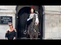 Stunning Horses At The Horse Guards London