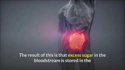 Risks of Being Overweight | Part 2 | BMI Calculator