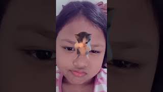 Kicau Kicau Mania capcut