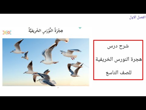 شرح درس هجرة النورس الخريفية للصف التاسع الفصل الاول 