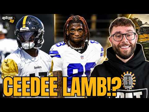 Steelers have NFL's next star WR!