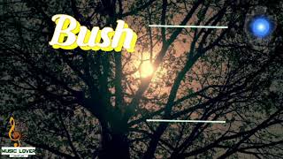 Bush - Letting The Cables Sleep (Lyrics video)