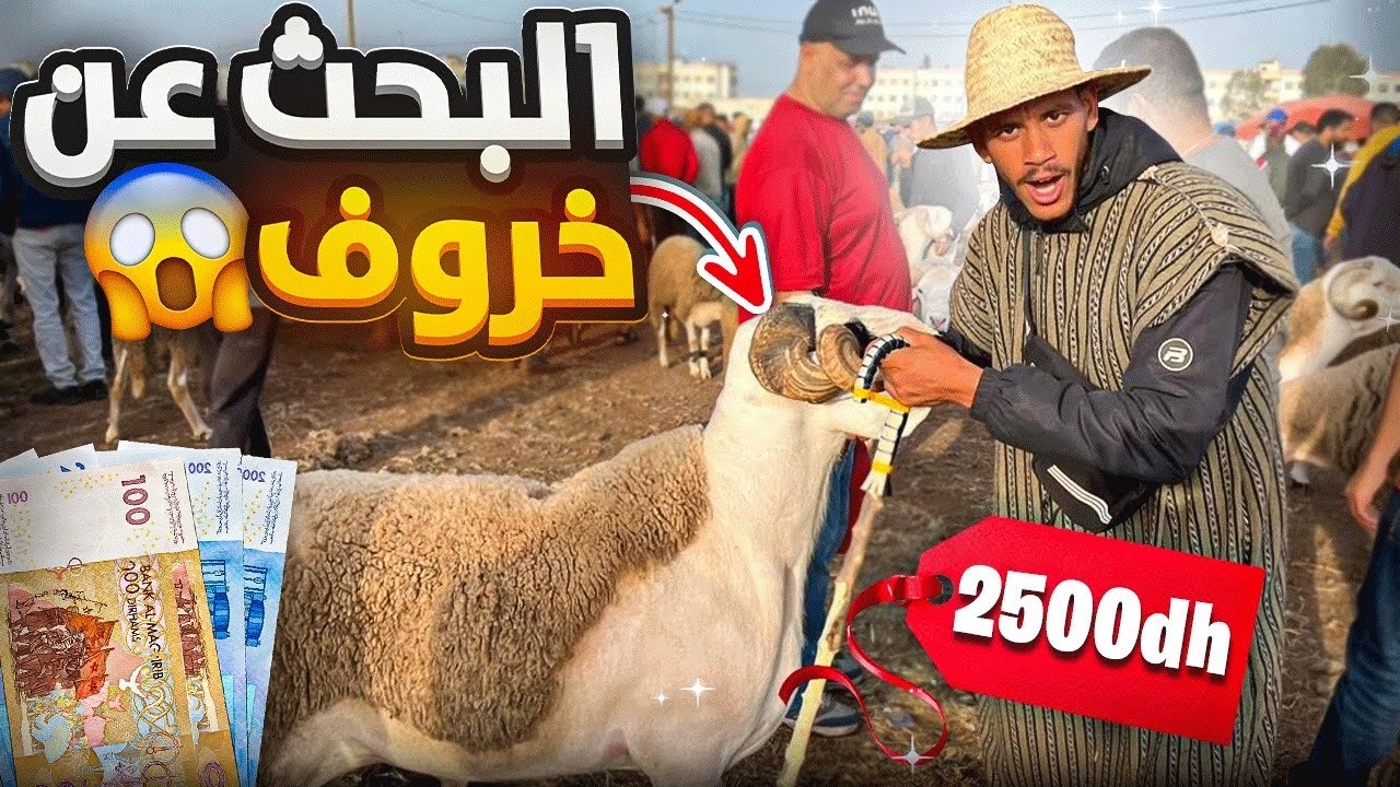 ليوم من سوق شعبي🇲🇦“الإثنين دار بوعزة