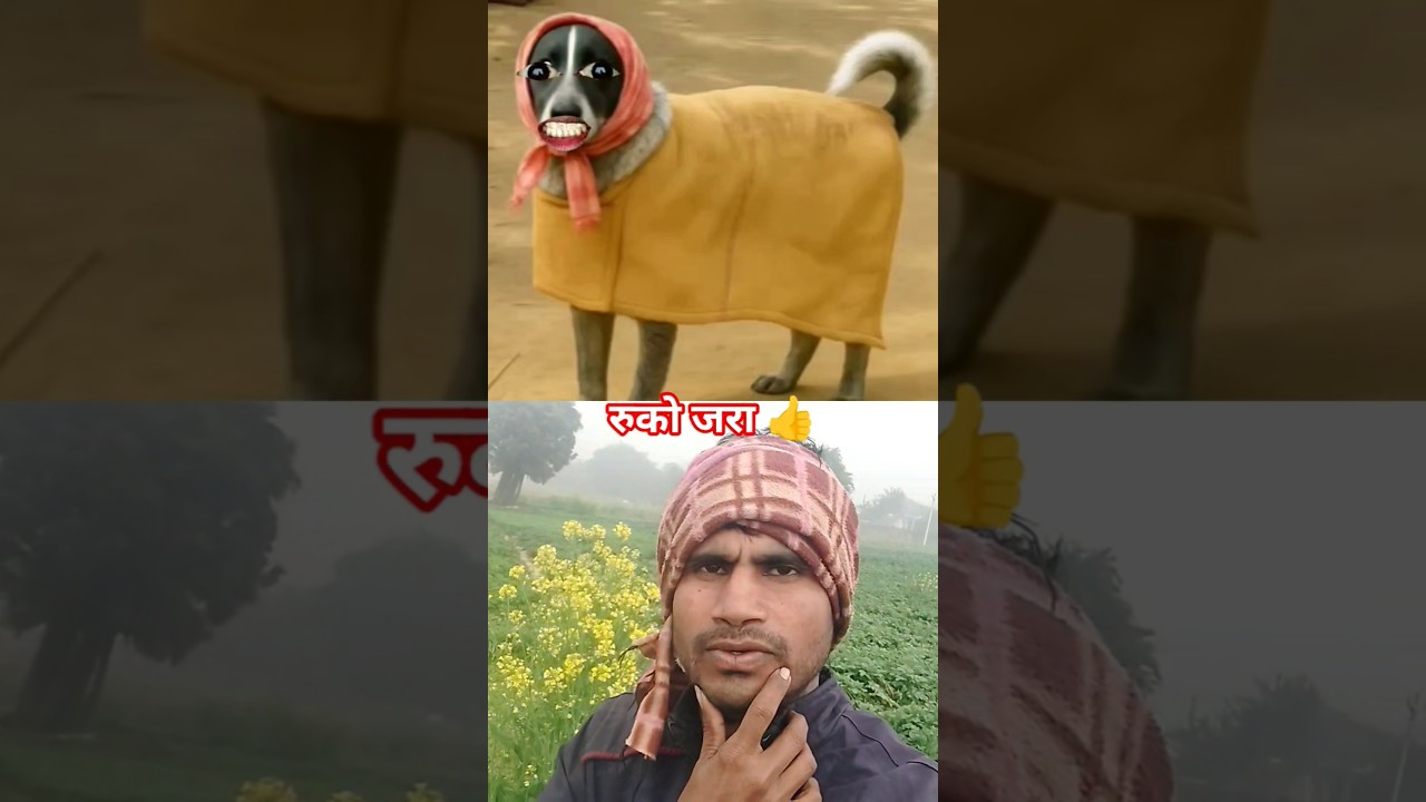 ठंडी की मजेदार वीडियो। 