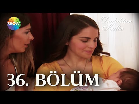 Dudaktan Kalbe 36. Bölüm | FULL BÖLÜM