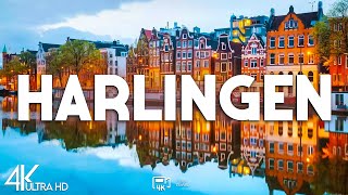 Top 10 Best Things to Do in Harlingen, Texas - Travel Guide 2025