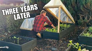 Three Years Later How Much Did I Save By Growing Food In My Front Garden?