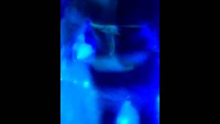 Twerk Something Girl