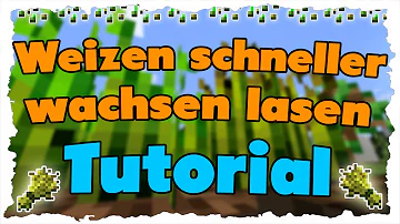 Wie kann man Weizen schneller wachsen lassen Minecraft?