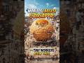 World's Largest Golgappa Ever! 🤯 Tiny Workers Build a Giant Pani Puri | Satisfying ASMR Food#Viral#