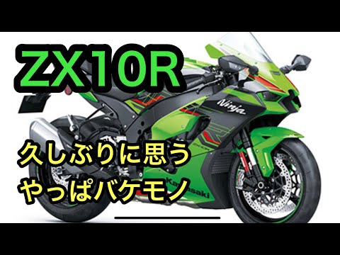 モリモリハヤト Amazon | モリワキ(MORIWAKI) ポイントカバー カット無 ブラック