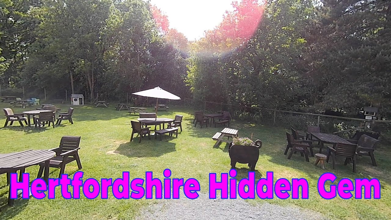 Ashridge Estate with the Grandkids - National Trust Walk & Ice Cream Stop!