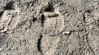 Tracking - Compression and distance of foot print