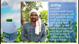 ATONIK® | अटॉनिक की कहानी महाराष्ट्र किसान की जुबानी | कपास की फसल के लिए सर्वश्रेष्ठ पीजीआर