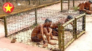 Inside the Coconut Tree Prison