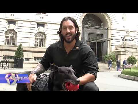 საიდუმლო სამსახურის ძაღლი, რომელმაც ობამა გადაარჩინა