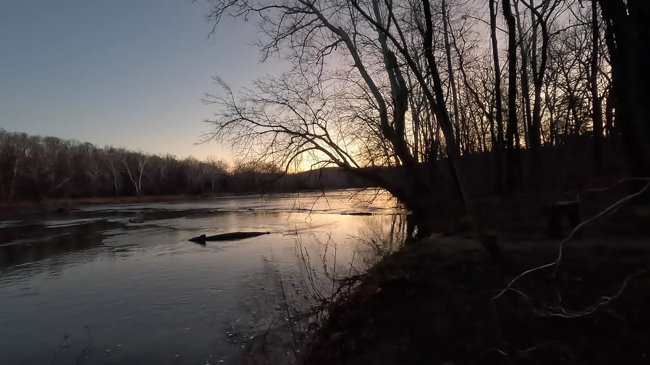 5 Real Minutes, South Fork Shenandoah River: Nature Sounds and Visuals, Calming & Relaxing 20260111