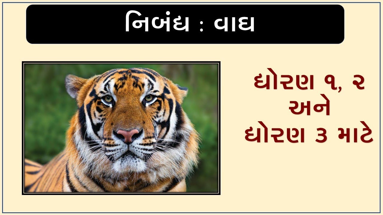 essay about tiger in gujarati
