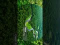 दुनिया का सबसे बड़ा जंगल! #Amazon rainforest #trending #shorts #facts