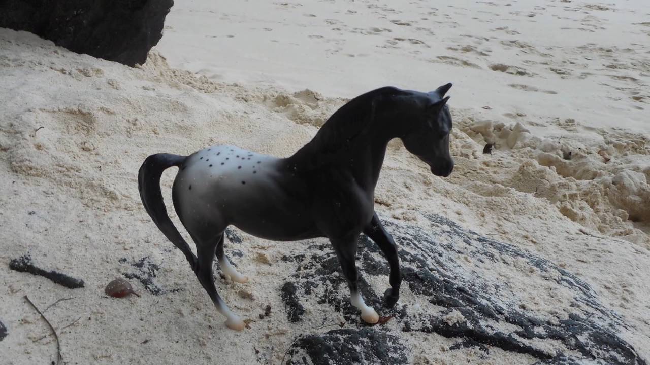 (Schleich & Breyer) Horses on a Beach Slideshow YouTube