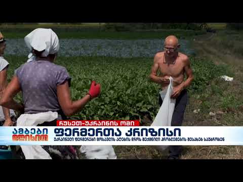 უკრაინელი ფერმერები მოსავლის აღების დროს შექმნილი პრობლემების შესახებ საუბრობენ