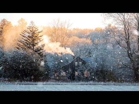 Video: Best Things to Do in the Winter in New England