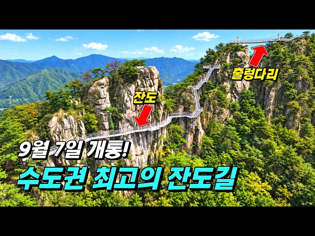 [최초 공개] 드디어 개통했습니다! 절벽을 걷는 수도권 최고의 신상 잔도길 & 출렁다리