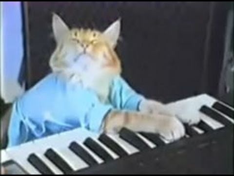 Warning - cute cats rick roll Will make you laugh and sing along