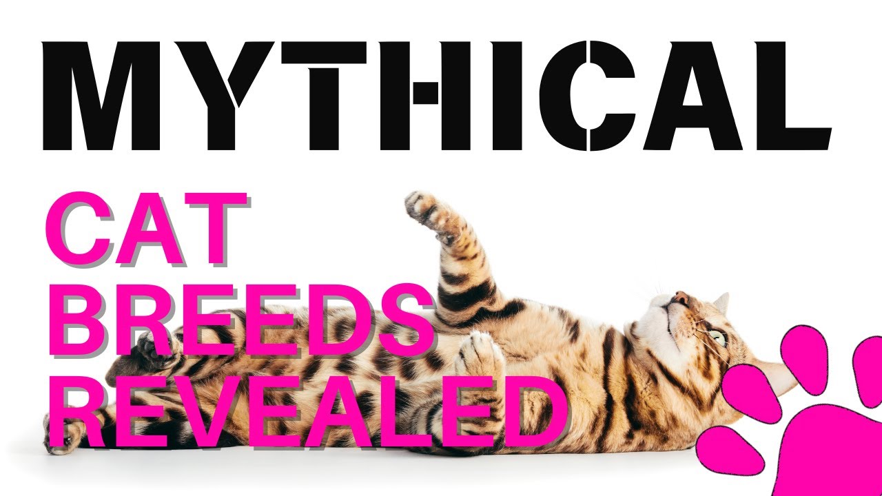 Top 10 Cat Breeds: Mythical Creatures in Fur and Whiskers