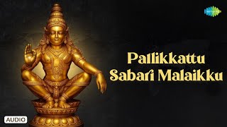 Pallikkattu Sabari Malaikku | பள்ளிக்கட்டு சபரிமலைக்கு | Ayyappan Songs | Saregama South Devotional