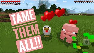 How to Tame Pig and Chicken in Minecraft #minecraft #minecraftpe screenshot 5