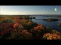 Couleurs d'Automne à Chicago - Échappées belles