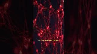 AI Brainwashing? The 2026 Guide to Adversarial Attacks! #cybersecurity #shorts