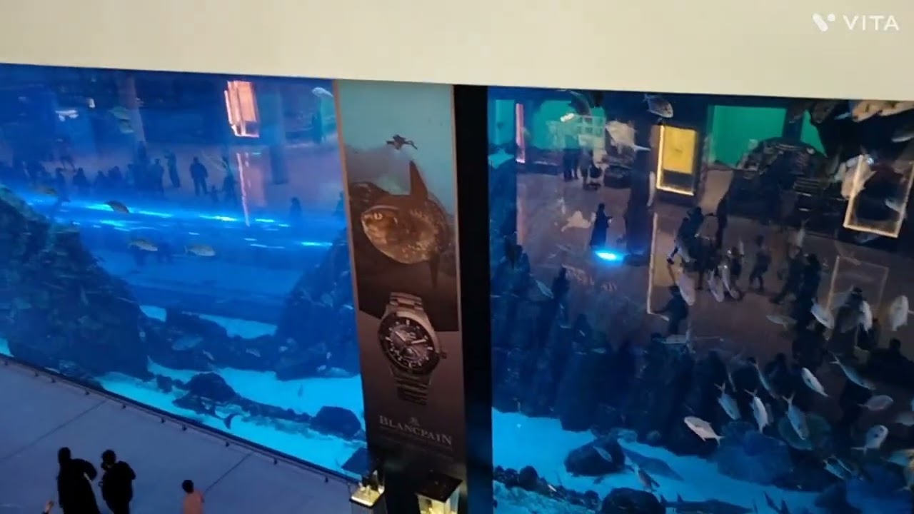 Traveling glimpse and experience sharing 