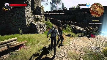 The Witcher 3 : Wild Hunt on MSI R7 360 OC