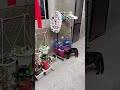 my black cat is fighting for Territory #shorts #catvideos #catfighter #catshorts