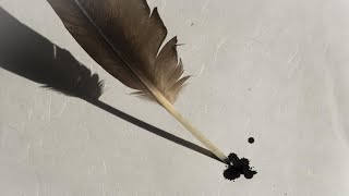 068 Surah Alqalam Dan Terjemahan alquran   Visual