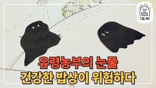 친환경 농부는 왜 유령농부가 되었을까? ㅣ한살림 경기동부와 함께 지켜내요 Let's protect it together with Hansalim!