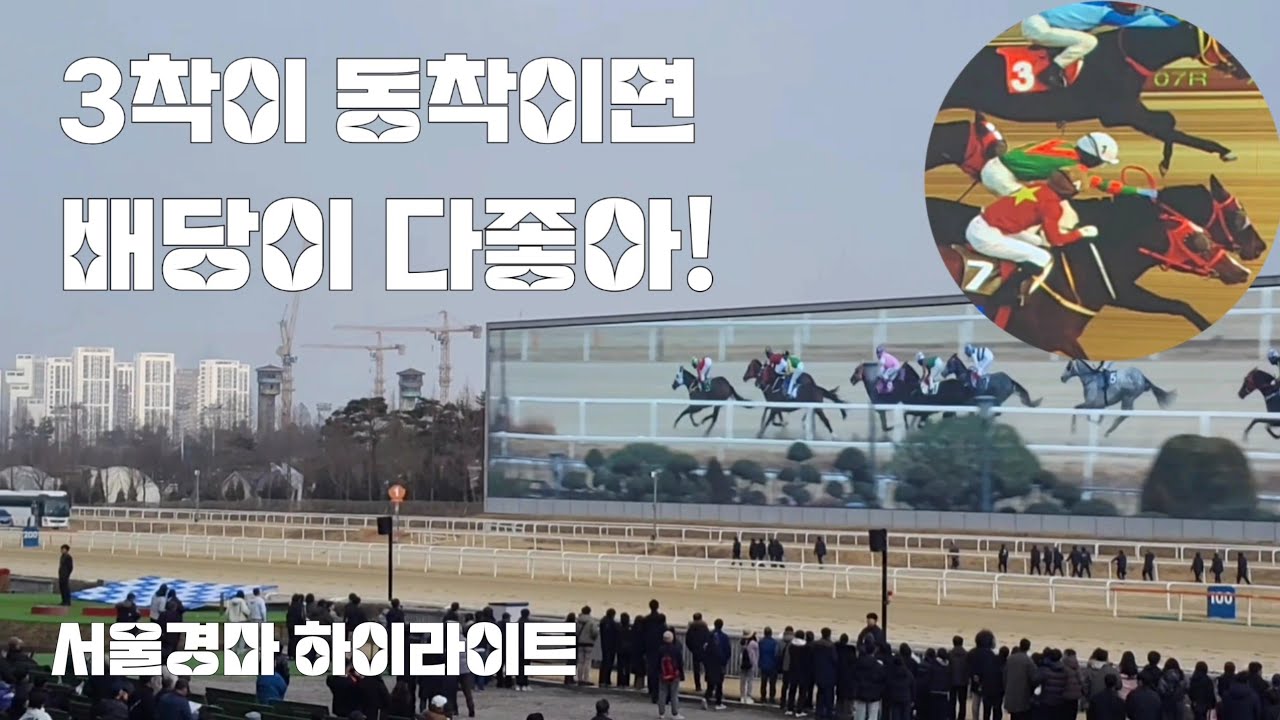 이런 동착을봤나! (3착 동순위 배당이 끝내줘요) 내가산말은 막혀서~쩝