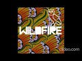 Drake - Wildfire (STZ Remix)