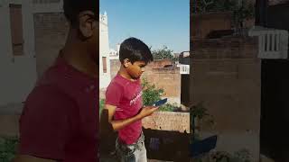 Badsha King Subscribe My Channel trendingshorts trending viral viralshorts