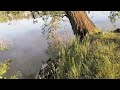 Река Бия. А вода то прибывает.