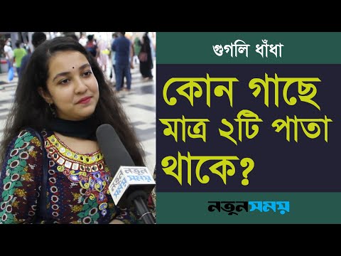 ভিডিও: কোন গাছের তিনটি লবড পাতা আছে?