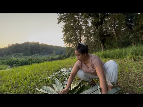 Membuat kerajinan tangan , atap pondok dari anyaman daun aren
